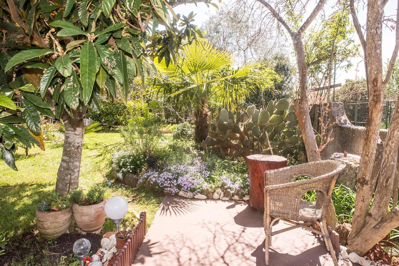 Apartment Lori Fažana エクステリア 写真